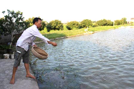 Ảnh minh họa.